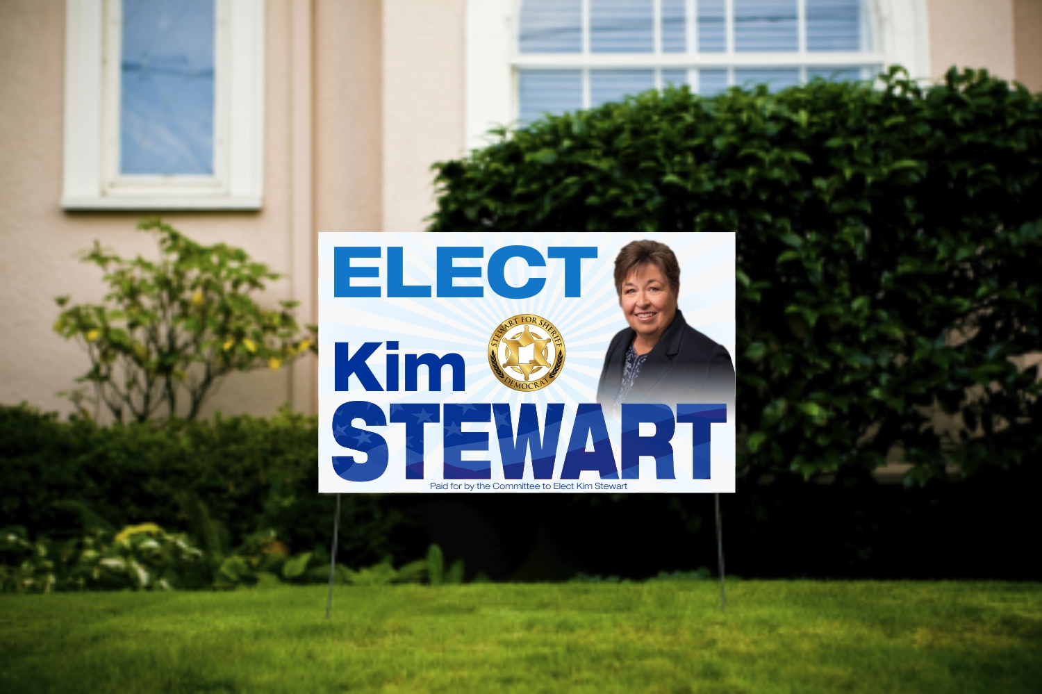 Political Signs â€” a coordinated sign system
